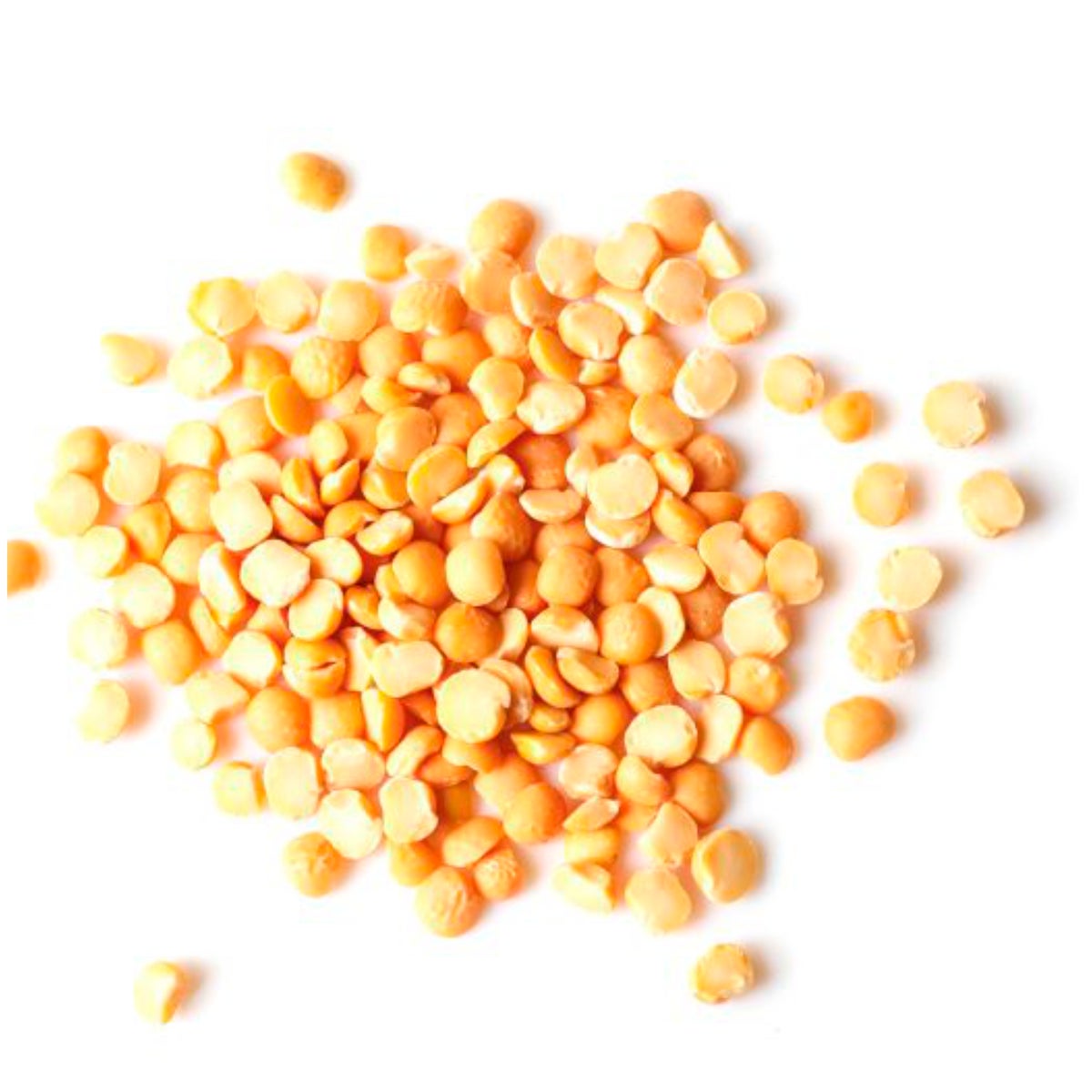 ERA Grain-Free Sterilised Adult - Fresh Chicken & Turkey